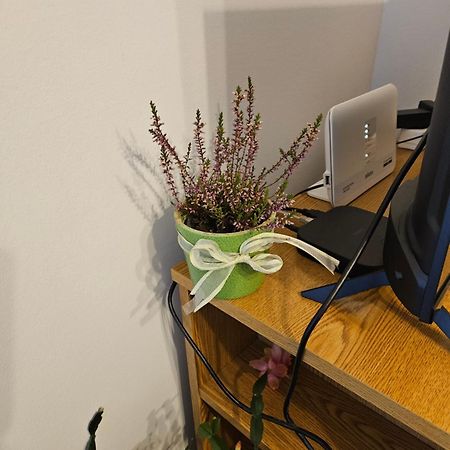 Apartman Noa Knin Bagian luar foto
